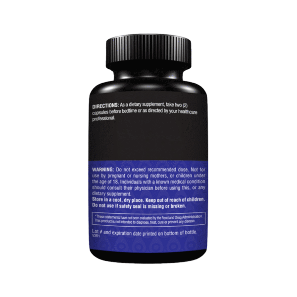 Lipo Nights Back 2 - SQ